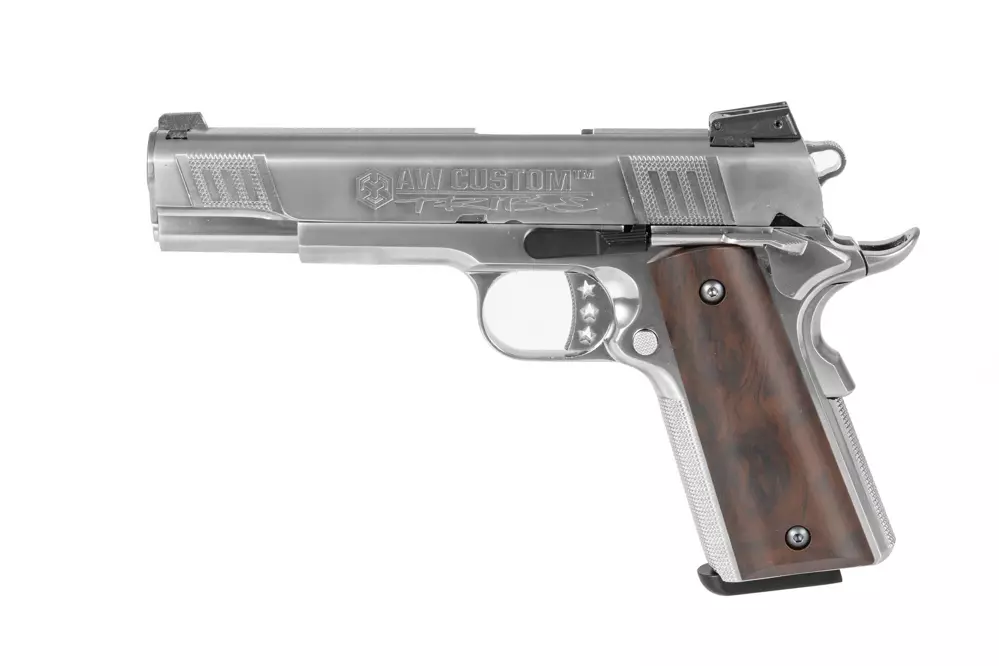 AW-NE3001 pistol replica
