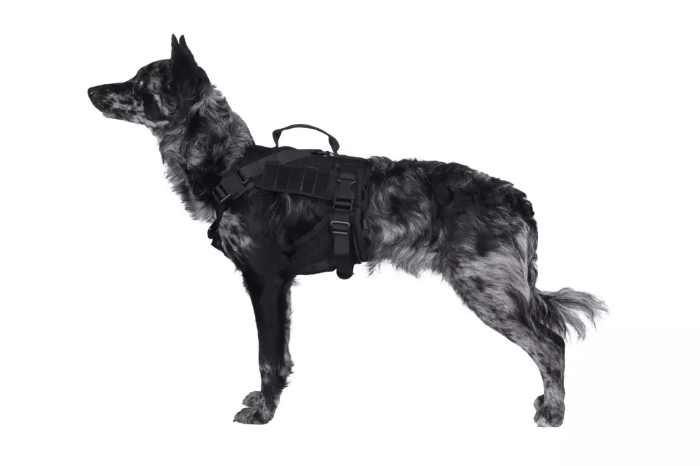 Tactical Dog Harness - Black